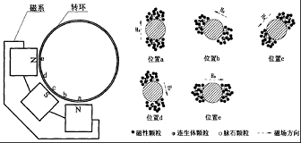 高梯度磁選機的磁場結構圖